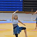 Farmington Guard 31310